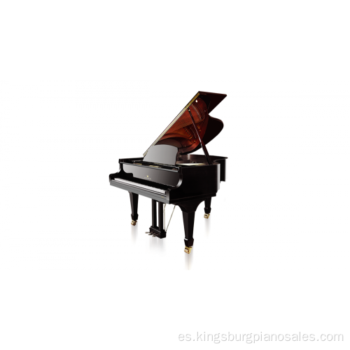 Piano de cola de instrumento profesional negro